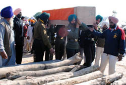 Army men carrying the coffin of Lance Naik Jagdish Singh for last rites at village Deon in Bathinda on Sunday