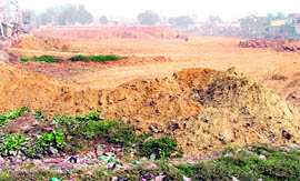 The site where a mini-rose garden will come up
