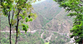 The Ringali Gad watershed that is to be brought under a rainfed area project.