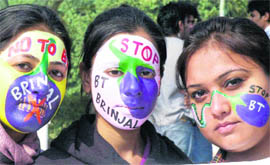 Students of environment science paint their faces in protest against BT brinjal at Panjab University in Chandigarh on Tuesday.