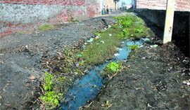 Blocked sewer pipes tell the sorry tale.