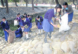 Students pick garbage and leaves during a cleanliness drive at Rose Garden in Chandigarh on Thursday. 