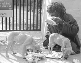 A homeless man shares his food with pups in front of the Language Department in Patiala on Thursday.