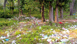 forest areas at Clement Town in Dehradun.
