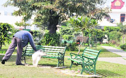 Benches at a park in Gurdev Nagar that were spoiled with mud by some area residents