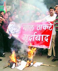 Activists of the District Youth Congress (Urban) burn an effigy of Shiv Sena supremo Bal Thackeray in Ludhiana on Saturday