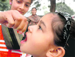 Polio drops being given to a child in Mohali on Sunday.