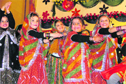 Students of Greenland Senior Secondary Public School perform during their annual day in Ludhiana. 