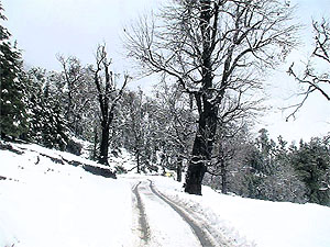A snow-covered road in Pitthoragarh.