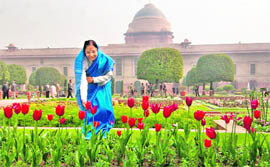 President Pratibha Patil admires tulips at Mughal Gardens at Rashtrapati Bhawan in New Delhi on Friday. The Mughal Gardens would remain open for general public from February 13 to March 11.