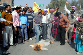 Members of Sikhya Karmi Adhiyapak Union burn an effigy of Punjab chief minister Parkash Singh Badal in Bathinda on Saturday. 