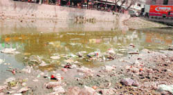 Stagnant water and filth at a pond in Behlana village.