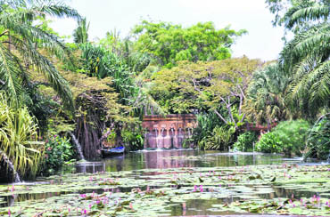 A lily pool at the Anantara Hua Hin Resort and Spa, situated two hours from Bangkok on the Gulf of Siam in central Thailand