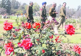 The police patrols Rose Garden on Valentine’s Day in Chandigarh on Sunday.
