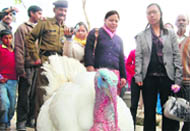 Sangma looks at a turkey at HESCO