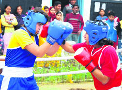 A boxing match in progress during the Open Haryana Invitational Boxing Championship organised at Government Women College in Karnal.