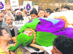 In a protest against  Bt. Brinjal