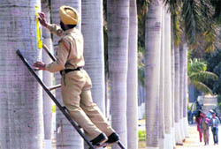 A security guard removes the poster of a students’ body on the Panjab University campus in Chandigarh