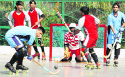 A roller skating match in progress at KBDAV in Chandigarh 