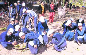 Students participate in a cleanliness drive during a one-day NSS camp at Government Model Senior Secondary School, Sector 35, in Chandigarh on Thursday.
