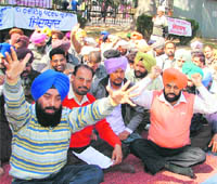 Patwaris of Ludhiana East and West sub-divisions stage a dharna in Ludhiana on Thursday.