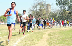 Participants take part in the 5000m race during the 90th Annual Sports Meet of SCD Government College, Ludhiana, on Thursday.