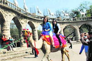 Tourists enjoy camel ride at Rock Garden, Chandigarh.