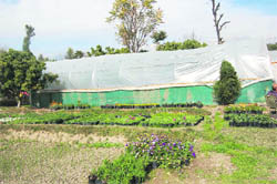 A poly house in the Kangra area