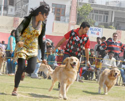 Owners run with their dogs at an event in a dog show at Guru Gobind Singh Stadium  in Jalandhar on Sunday