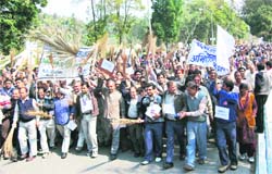 BHEL employees protest in Haridwar on Tuesday.