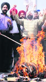 Protesters burn an effigy of Taliban in Karnal.