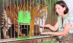 Marie, a Brazilian, at the Tiger Safari in Ludhiana