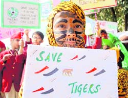 Students of Shemrock school during an awareness rally on the World Forest Day @@in Mohali on Wednesday. 