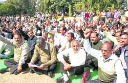Power employees hold a protest at the Gandhi Park in Dehradun