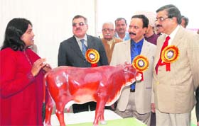 Dr KML Pathak (right), Deputy Director-General (Animal Sciences), ICAR, New Delhi, and Dr AK Srivastava (second from right), Director, NDRI, at an exhibition in Karnal