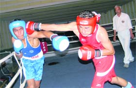 Players in action during a boxing match in Chandigarh