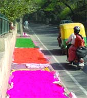 Dry gulal spread on the roadside for the Holi festival in New Delhi on Thursday.