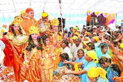A Holi of flowers being played at Sidh Peeth Sidhashram in Haridwar on Thursday