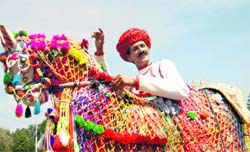 A Kucchi Ghodi artiste at the Rose Festival in Chandigarh