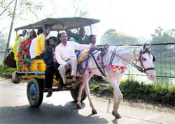 A tonga filled with zaireens on its way to the Sabir Baba shrine in Peeran Kaliyar