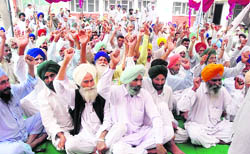 Activists of the Bharti Kisan Union (Sidhupur) stage a dharna at the office of the Chief Agriculture Officer in Bathinda