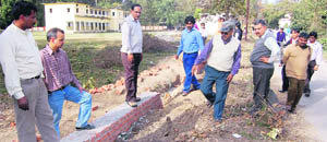 Forest officials inspect the trees cut at a government school near Vasant Vihar, Dehradun, on Thursday.
