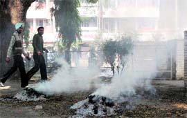 Heaps of waste, including plastic goods and organic materials, being burnt at the Karnal Civil Hospital reflects poorly on garbage management by the civic body