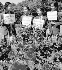 Schoolchildren with posters on environment during the Rose Festival at Panjab University in Chandigarh on Saturday.