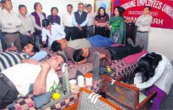 A blood donation camp, organised by The Tribune Employees Union, in progress on the office premiseson Monday. 