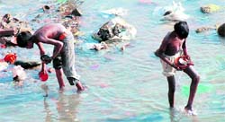 Boys look for coins in a canal on Kaithal road in Karnal