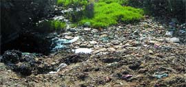 The open choked drain has become a big cause of worry for the ward residents.