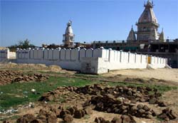 Cow dung cakes around the Maiser Khana temple in Bathinda make the area unhygienic