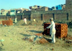 Construction work in progress at the park in Barnala