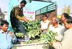 Broccoli being sold in Pitthoragarh